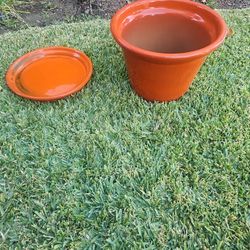 Big Cermic Orange Pot For Plants 75 