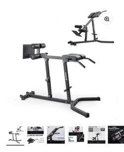 Back Extension