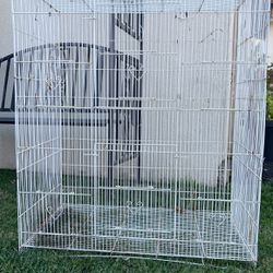 White Vintage Bird Cage 