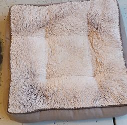 Pet Beds & Small Dog Coats