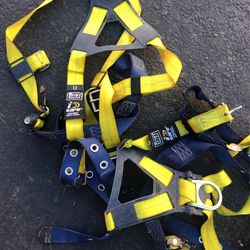 Harness