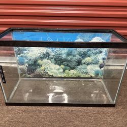 FISH TANK GLASS 30x12