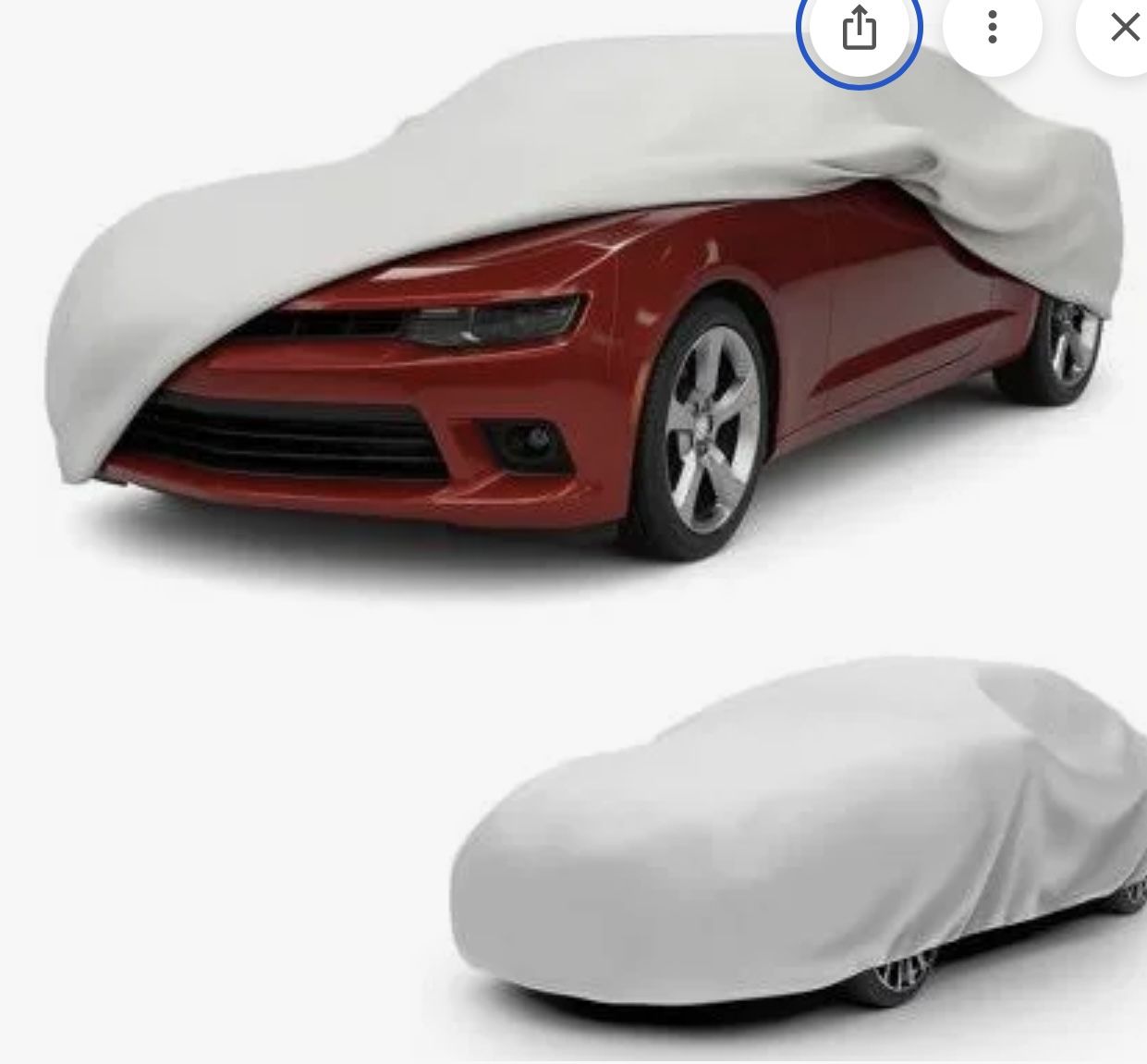 Car Cover -  Budge