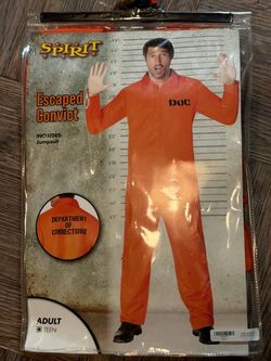 Prisoner Halloween Costume