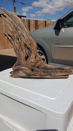 Saguaro Cactus Joint for Sale in Apache Junction, AZ - OfferUp