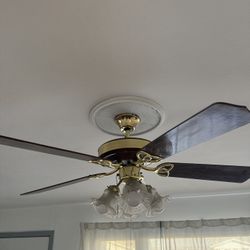 Ceiling Fan 
