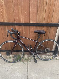 Specialized Track Bike