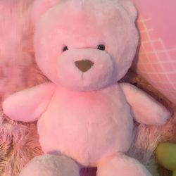 Valentines Gift Stuffed Animal Pink Teddy Bear