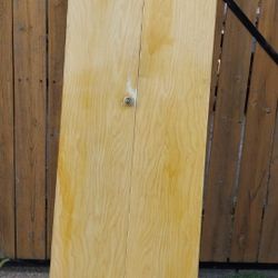 2 Metal Bifold Doors 30X79