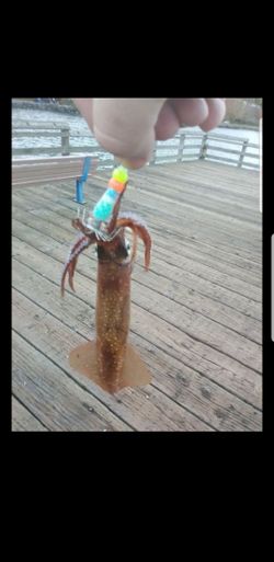 Squid jigs