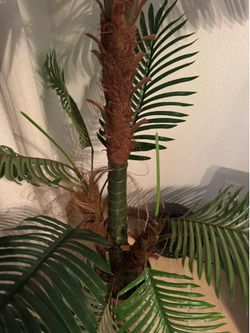 Fake palm tree
