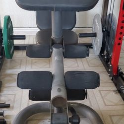 Weight Bench