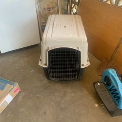 large dog kennel 