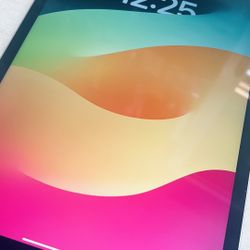 i pad Pro 4th Gen 