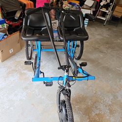 Team Dual Trike Electric Brand New