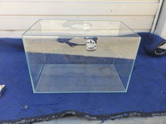 20 gallon rimless fish tank