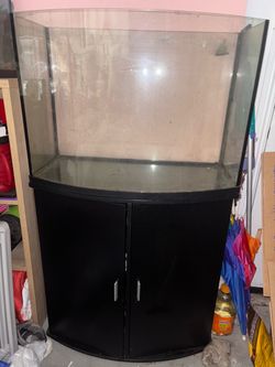 36 gallon tank, no lid