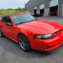 2001 Mustang Cobra
