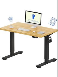 Electric Height-Adjustable Standing Desk