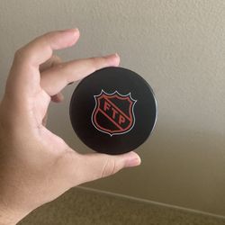 FTP Hockey Puck