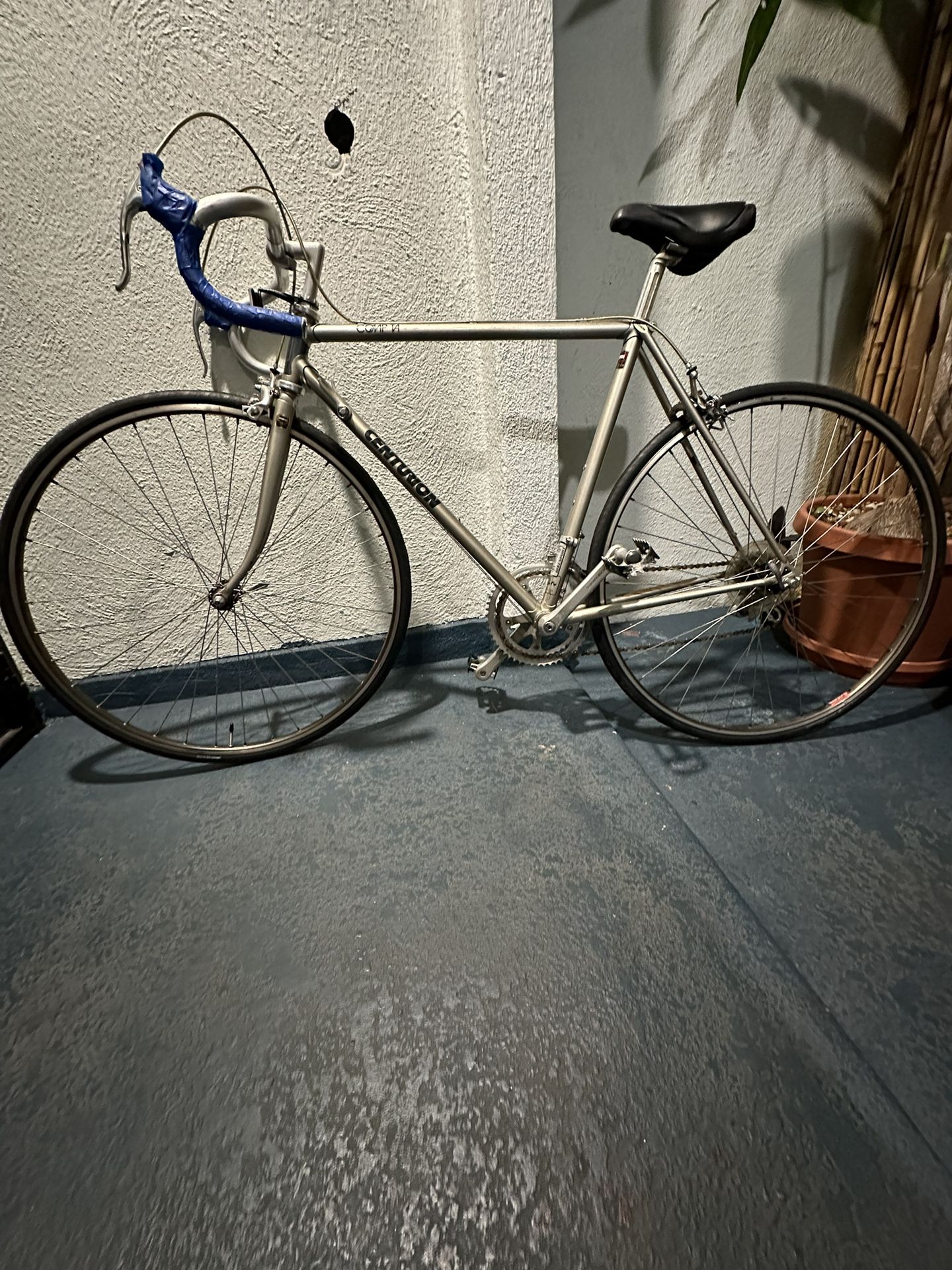 Rare Vintage 1984 Centurion Comp TA Bike