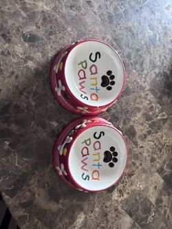 Dog Bowls