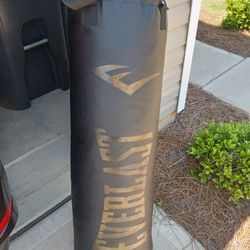 Everlast Punching Bag