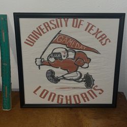 Texas Longhorns Frame 