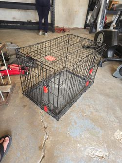 Kong Dog Crate