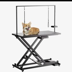 Electric Grooming Table 