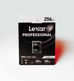 Professional 256GB SDXC UHS-I Memory Card - Silver 1066x