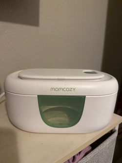 Wipe warmer