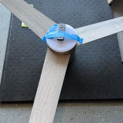 Flush Mount Ceiling Fan With Remote. LED Light. 