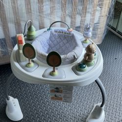Ingenuity baby activity Seat