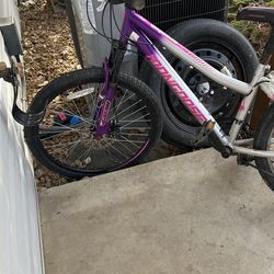 Adult Bike