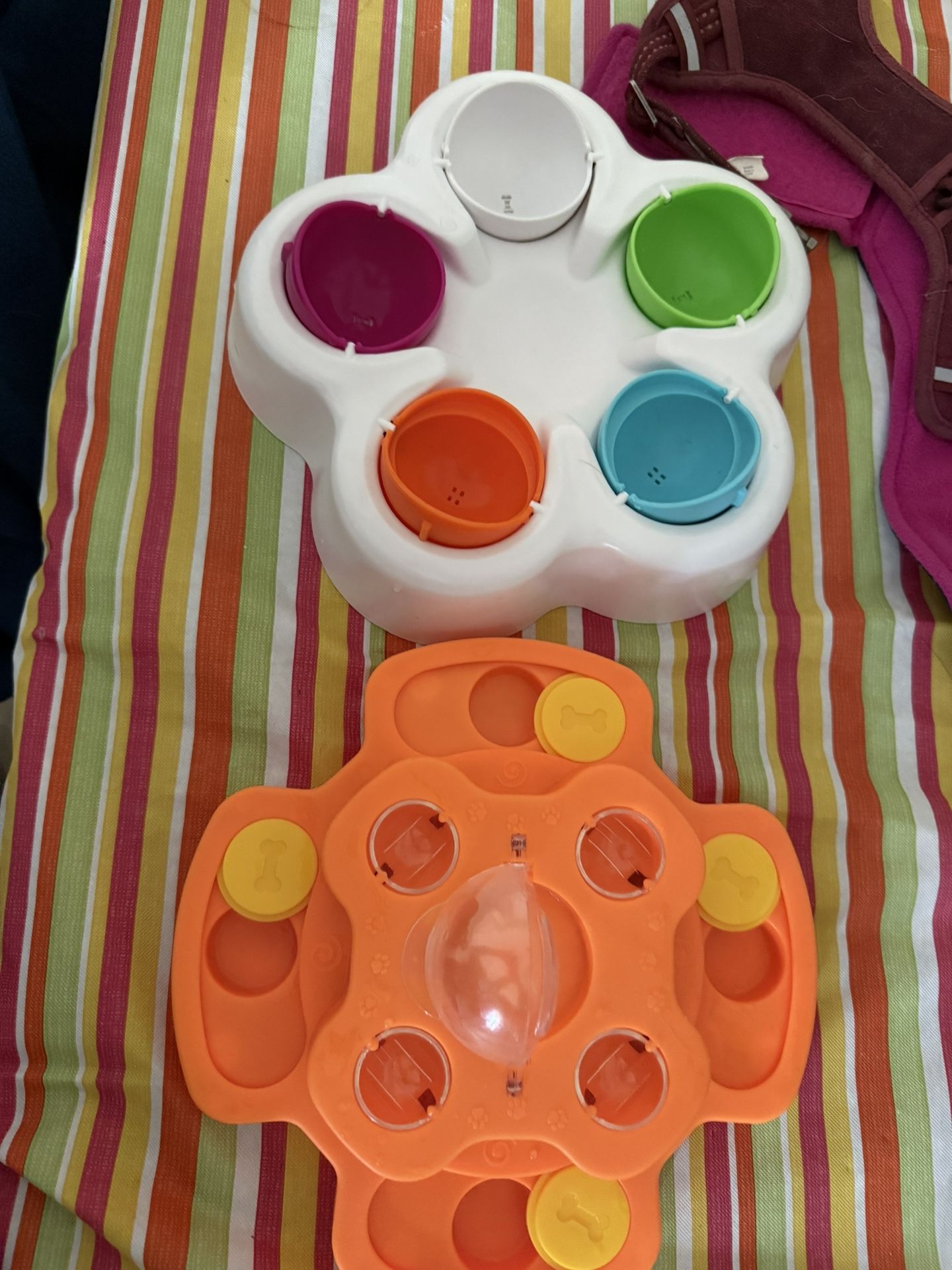 Interactive Dog Toys