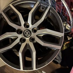 Size 18 Rims
