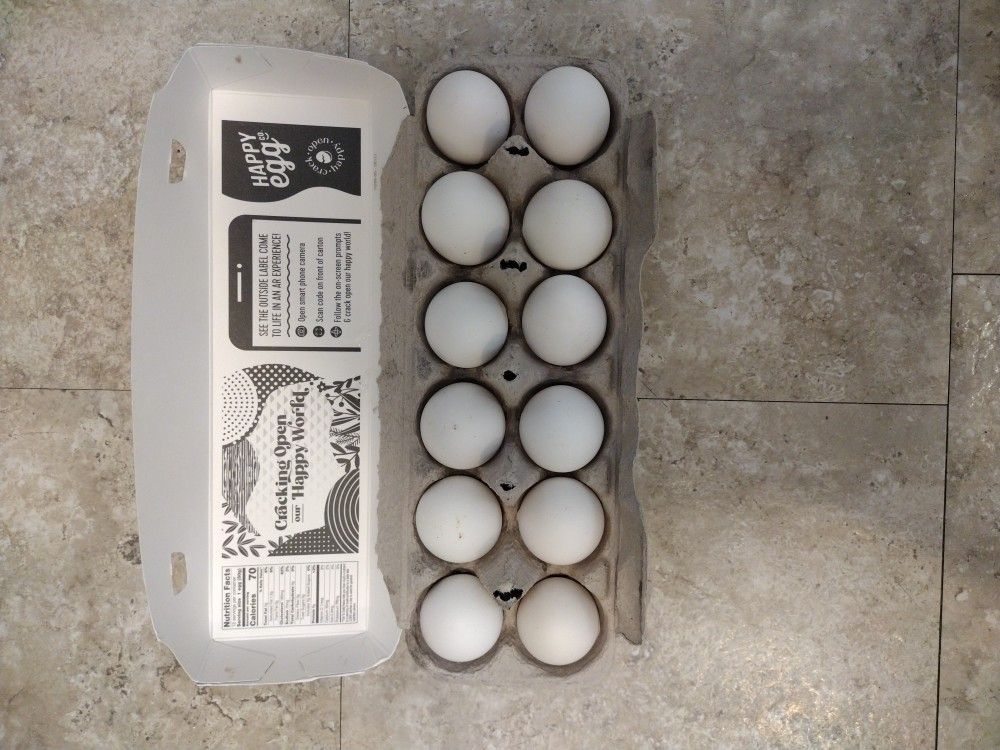 Leghorn Eggs White In Color