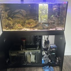 Salt Water Fish Tank
