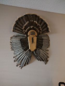 Turkey