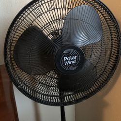 Stand Up Fan