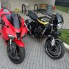 King of Offer up