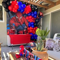 Balloon Garland 
