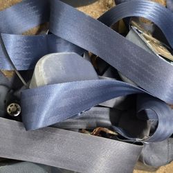 Cinturón De Toyota Truck 