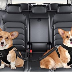 Double Dog Seat belt 