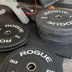 Rouge Weight Plates & Misc