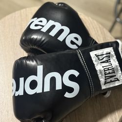 Supreme Boxing Gloves 10oz CST