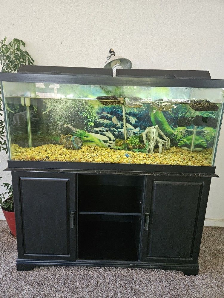 75 Gallon Wide Tank
