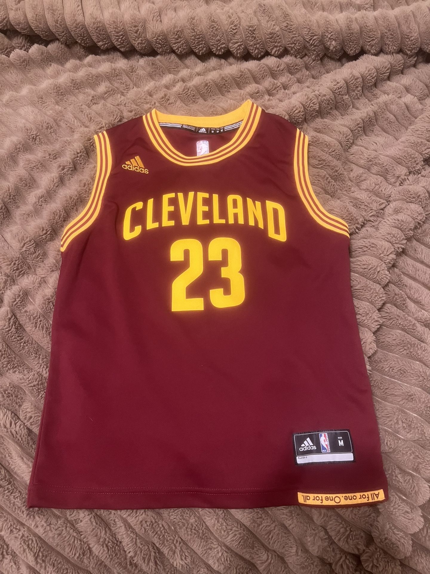 LeBron James Jersey