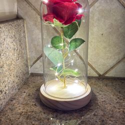 Rosa Encapsulada 